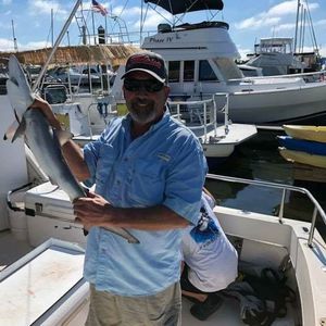 Meet your Posher, Harold